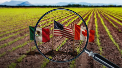 Revisiones anuales del T-MEC generarán incertidumbre para el comercio agroalimentario: GCMA
