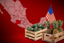 El 90% de las exportaciones de Michoacán tienen como destino Estados Unidos