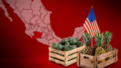 El 90% de las exportaciones de Michoacán tienen como destino Estados Unidos