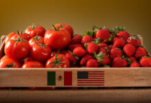 jitomate y fresa