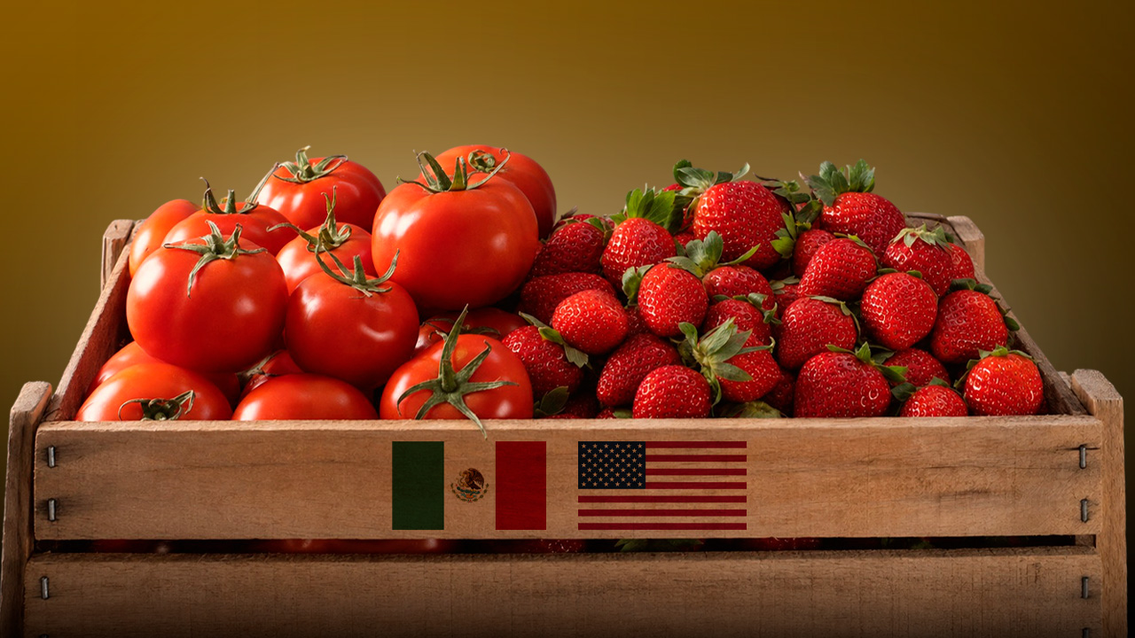 jitomate y fresa