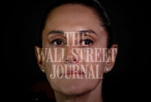 Claudia Shienbaum WTJ