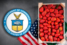 EU determina dumping en fresa mexicana por 1,000 mdd; “podría ser utilizado como antecedente” contra otros productos