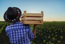 Informalidad en la agricultura