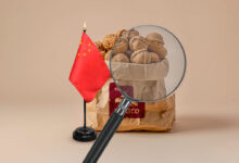 China comenzó la investigación contra las nueces mexicanas en 2025