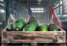 T-MEC: Estados Unidos busca aranceles al aguacate y acero mexicano para 2027