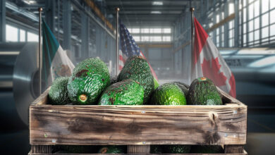 T-MEC: Estados Unidos busca aranceles al aguacate y acero mexicano para 2027
