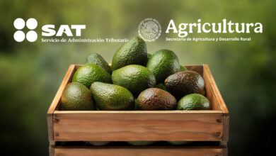 El SAT y Agricultura reforzaron las medidas sobre la exportación de aguacate