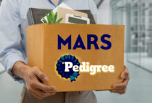 Mars, Incorporated y Pedigree podrían estar vulnerando el T-MEC