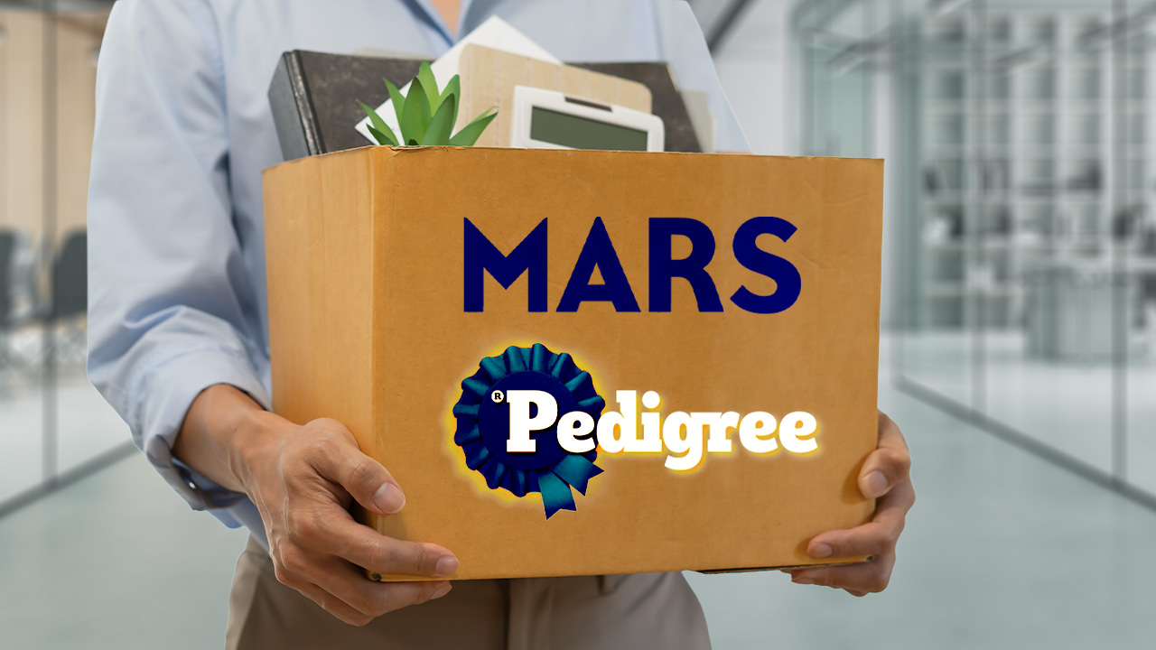 Mars, Incorporated y Pedigree podrían estar vulnerando el T-MEC