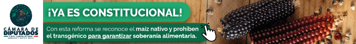 Comunicación Social Cámara de Diputados