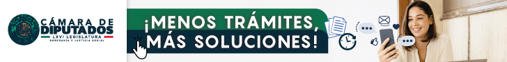 Comunicacion Social Diputados
